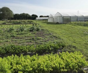 La Ferme 1544 - 9 ha d'exploitation pour le Logis de la Cadène et Le Gabriel